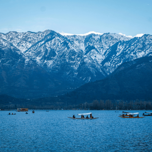 Jammu & Kashmir Card Image